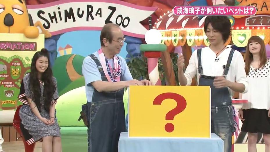 一窝小熊猫亮相《志村动物园》！相叶雅纪等嘉宾现场感受熊猫的萌力